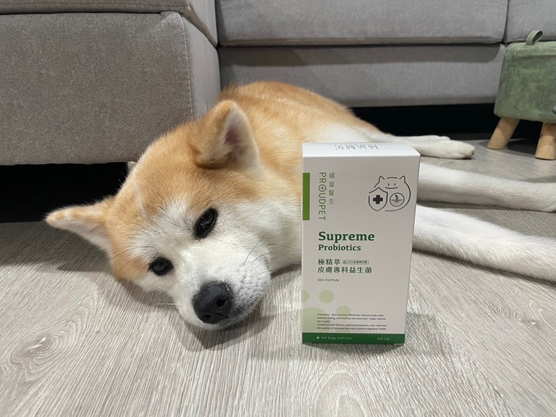 試用